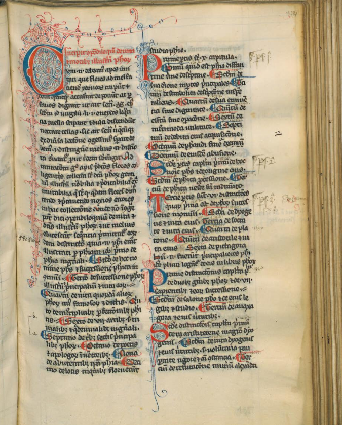 Florence, Bib. Laur., Plut. 32, Sin. 3, f. 135 r (Compendiloquium, incipit)