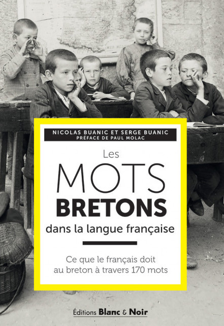 Image décorative : couverture de l’ouvrage "Les mots bretons dans la langue française"